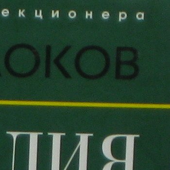 100_crop1.jpg