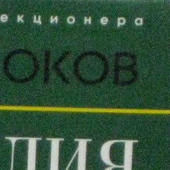 800_crop1.jpg
