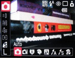 auto1.jpg