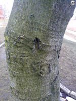 Искусство