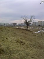Искусство