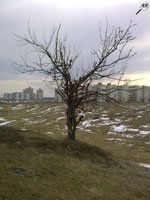 Искусство