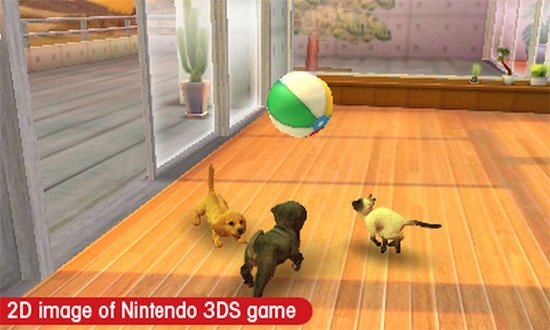 Впрочем, Nintendogs на то и + Cats — котики снисходят до дружбы с собачками и с удовольствием разделяют их игры