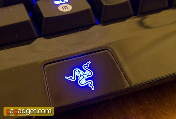 razer_backlight2.jpg