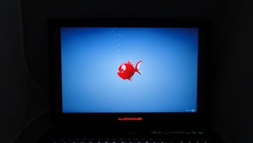 Обзор Dell Alienware m18x