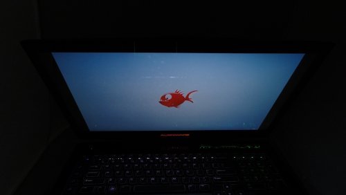 Обзор Dell Alienware m18x
