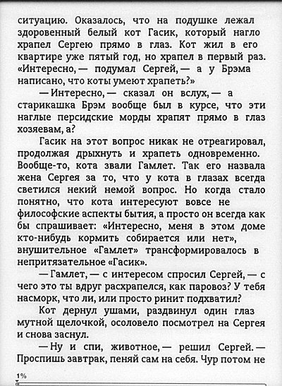 Электронный ридер Amazon Kindle 4 (2011) – обзор