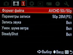 Sony Alpha SLT-A65 – 10 кадров в секунду в любительском сегменте