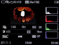 Sony Alpha SLT-A65 – 10 кадров в секунду в любительском сегменте