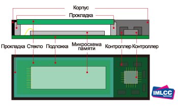 Схема строения флешки Kingmax Urban UI-05