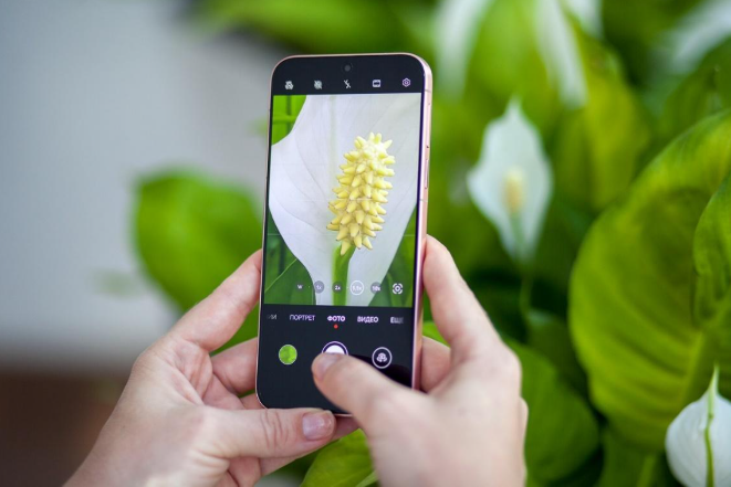 Обзор смартфона Huawei Pura 80: впечатляющие фотовозможности и стильный дизайн - Maxi.by